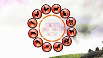 Chinese Dragon 2018 Horoscope Predictions