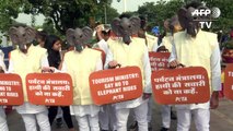 PETA protesta para proteger elefantes na Índia