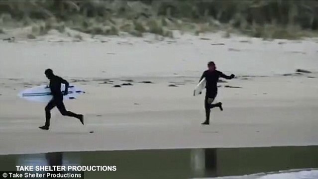 Moment surfes are chased from the ocean by some very bossy seals
