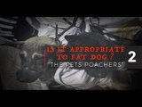 Is it appropriate to eat dog? Series 02: Pet poachers