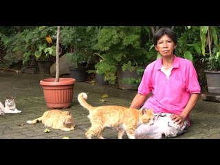Jobless woman in South Jakarta helps cats despite limitations