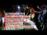 Indonesian man found dead in belly of 7m-long python