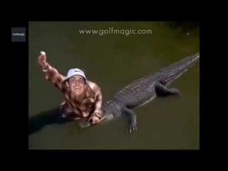 Golfer Cody Gribble and THAT alligator; round 2