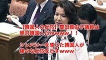 【韓国人の反応】豊田真由子議員は絶対韓国人だわwww！！シンパシーを感じた韓国人が様々な反応を示すwww