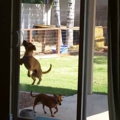Bernie breaks into our house