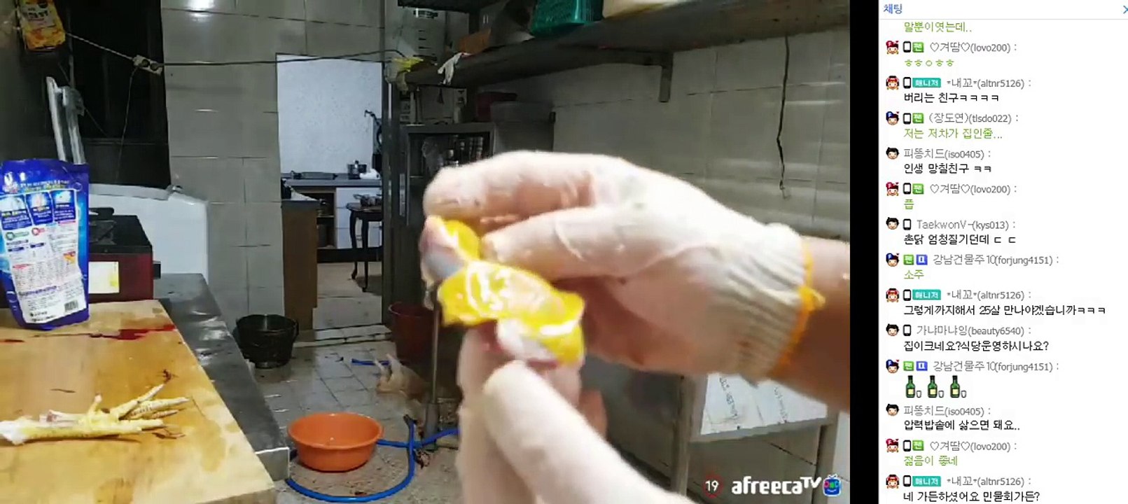 갓 잡은 촌닭~! 닭가슴살회! 닭똥집회! 닭볶음탕