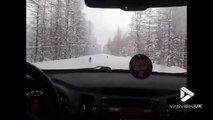 Des loups courent sur une route enneigée en Alaska devant la voiture !