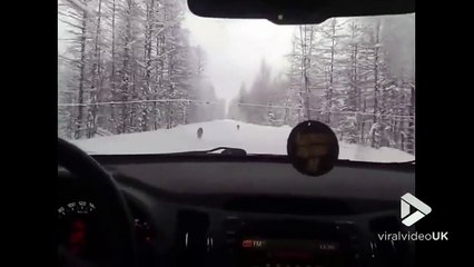 Télécharger la video: Des loups courent sur une route enneigée en Alaska devant la voiture !