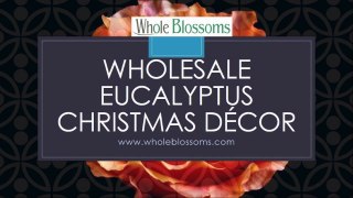 Wholesale Eucalyptus Christmas décor -www.wholeblossoms.com
