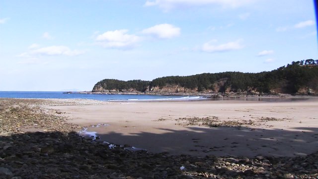 기름 피해 이겨낸 태안...어획량·관광객 회복은 아직 / YTN