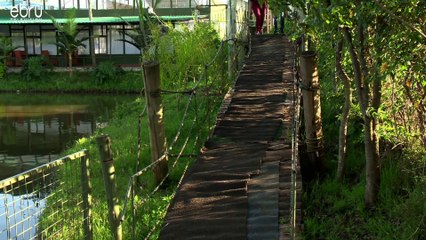 Meet David And The Ladies Fighting For Him