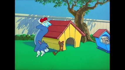 Tom and Jerry, 82 Episode - Hic-cup Pup (1954)