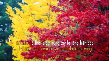 Những thiên đường mùa thu ở Hàn Quốc