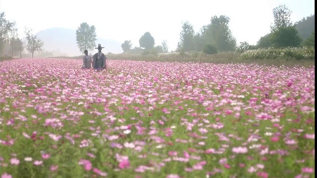 Nụ hôn tuyệt đẹp giữa cánh đồng hoa là cái kết viên mãn cho Lee Young và Ra On