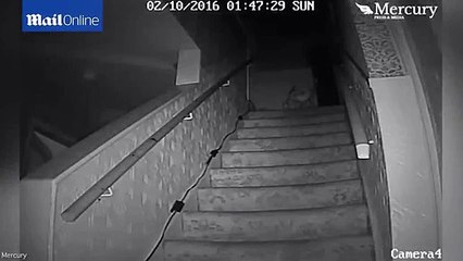 Lạnh người xem chiếc ghế rơi tự do trong ngôi nha ma ám