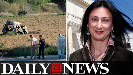 Assassins killed Panama Papers journalist with text message bomb