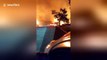 Santa Paula residents watch homes go up in flames