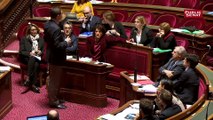 APL : Philippe Dallier plaide pour son amendement
