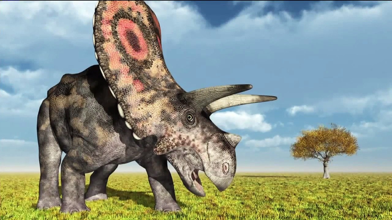 Apparent Discovery of Triceratops in Colorado Turns Out to Be Something More Rare