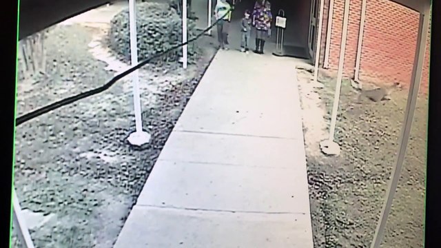 Une biche se dépêche pour arriver à l'heure en cours (Mississippi)