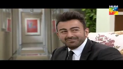 See What Shan Said About Sheikh Rasheed & Ayesha Gulalai