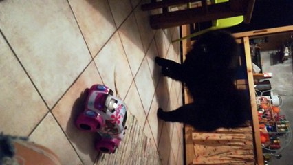 Saint-Nicolas est passé...