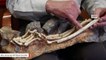 Skeleton Of Ancient Human Ancestor 'Little Foot' Unveiled In South Africa
