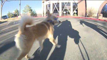 Good Samaritan Working to Improve Mental Health Care After Chance Encounter with Hitchhiker