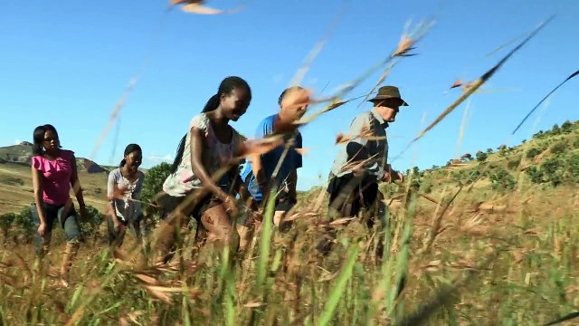 21. The Golden Gate (Golden Gate Highland's National Park)