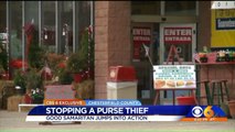 Good Samaritan Chases After Suspect Who Stole Elderly Woman`s Purse