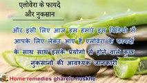 Aloe Vera Ke Fayde In Hindi Aloe Vera Ke Nuksan Aloe Vera Side Effects एलोवेरा के फायदे और नुकसान