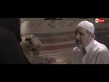 مسلسل قصر العشاق - الحلقة الثانية عشر - Kasr El 3asha2 Series / Episode 12