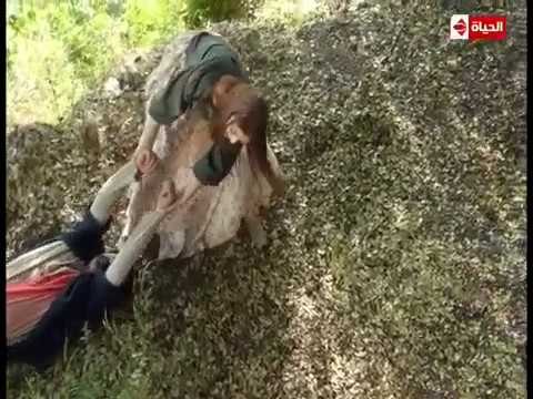 قناديل العشاق - مشهد للجميلة سيرين عبد النور وكيف تحولت حياتها من فتاة فقيرة حتى أصبحت إيف