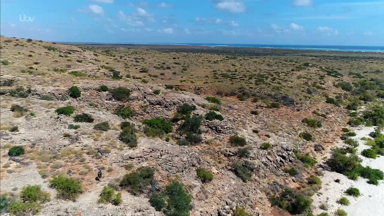 Australian Wilderness With Ray Mears Series 1 1of7 Ningaloo Coast