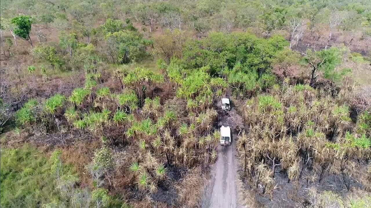 Australian Wilderness With Ray Mears Series 1 2of7 Kakadu Wetlands