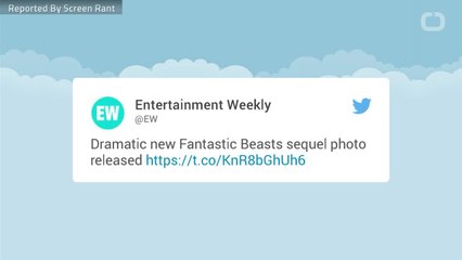 Young Dumbledore & Newt Hang Out in Fantastic Beasts 2 Images