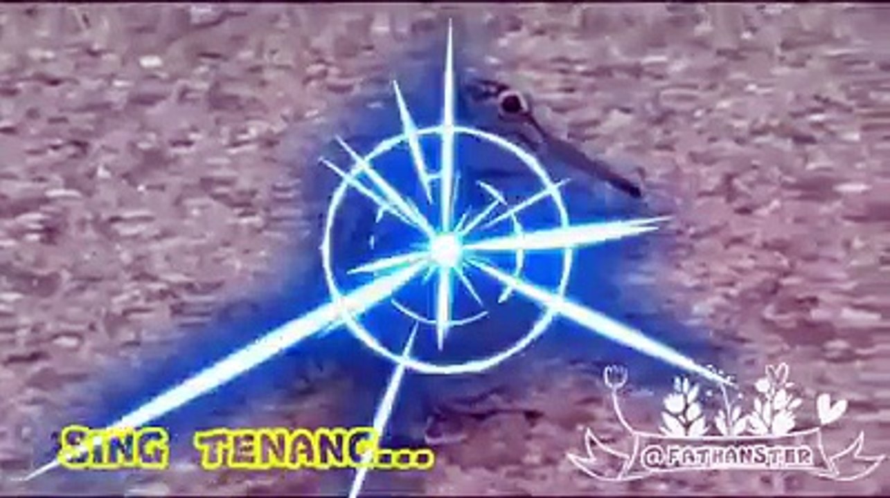 Funny Bird Dance