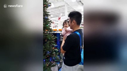 Baby is fascinated by Christmas tree as she sees one for the first time