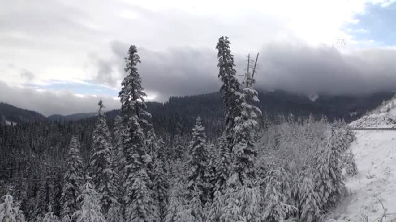 Meşhur Tosya Pirinci"Nin Lezzeti Ilgaz'ın Karından Geliyor