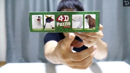 [겜도리] 4D 퍼즐 북극곰!! 북극곰 4D 퍼즐로 더위를 이겨낸다! (말도안됨주의)-RCX--pAJQtc
