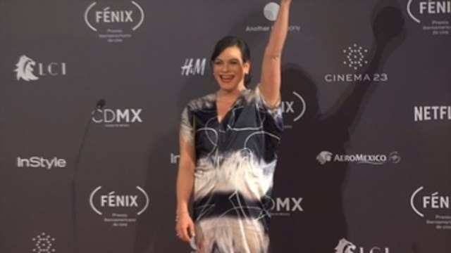 Una mujer fantástica y Netflix triunfan en Premios Fénix iberoamericanos