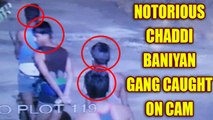 Notorious 'Chaddi-baniyan gang' caught on camera, police releases CCTV footage | Oneindia News