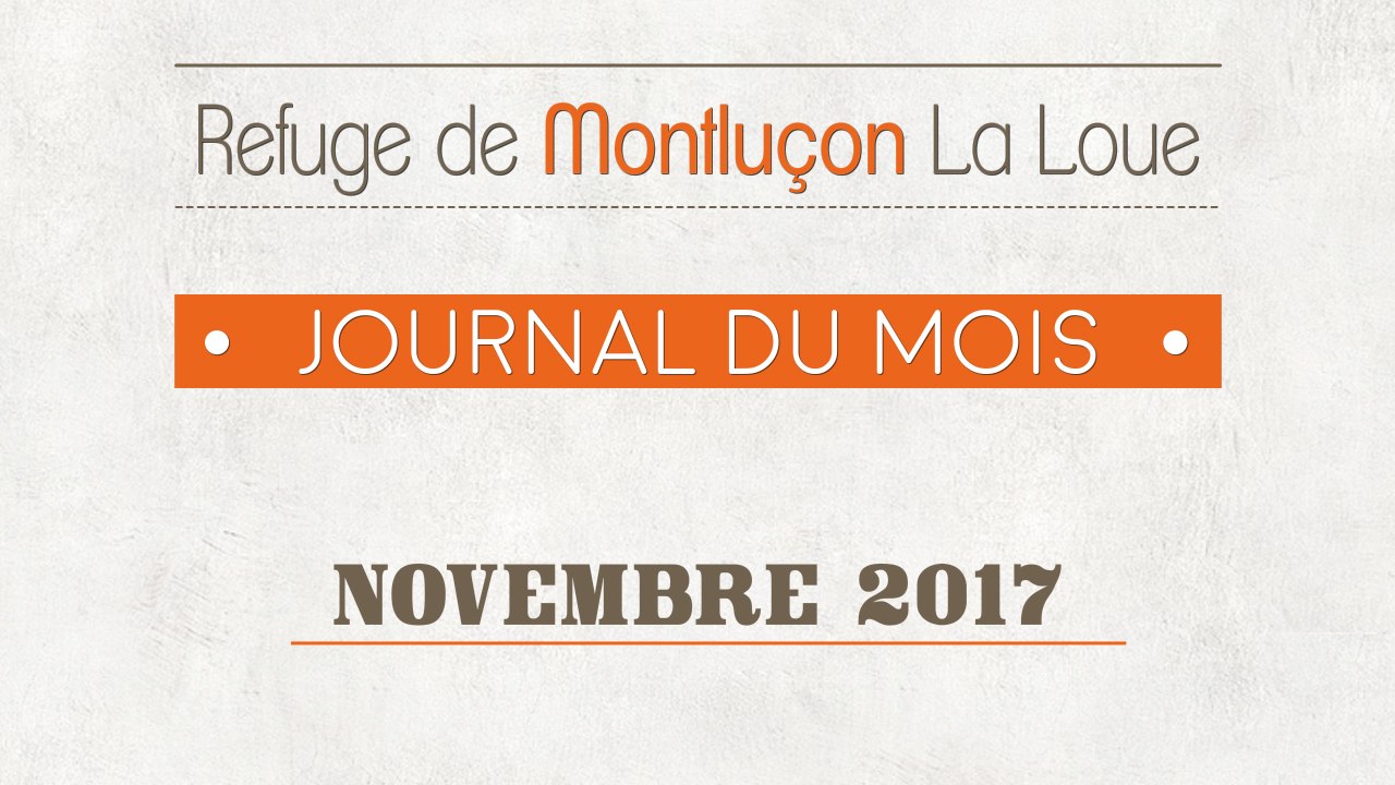 Un mois au refuge : novembre 2017