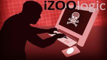 Phishing Prevention | iZOOlogic