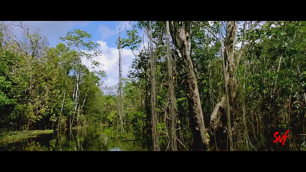 Amazon Obhijaan (Official Trailer) Dev, SVF | New Movie 2017 HD