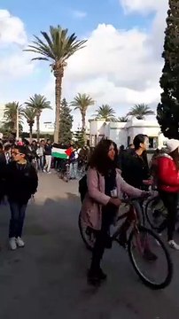 Les Tunisiens manifestent en soutien à la Palestine