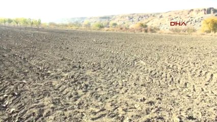 Siirt 18 Yıl Kaldığı İngiltere'den Gelip Siirt'te Sarımsak Ekimine Başladı