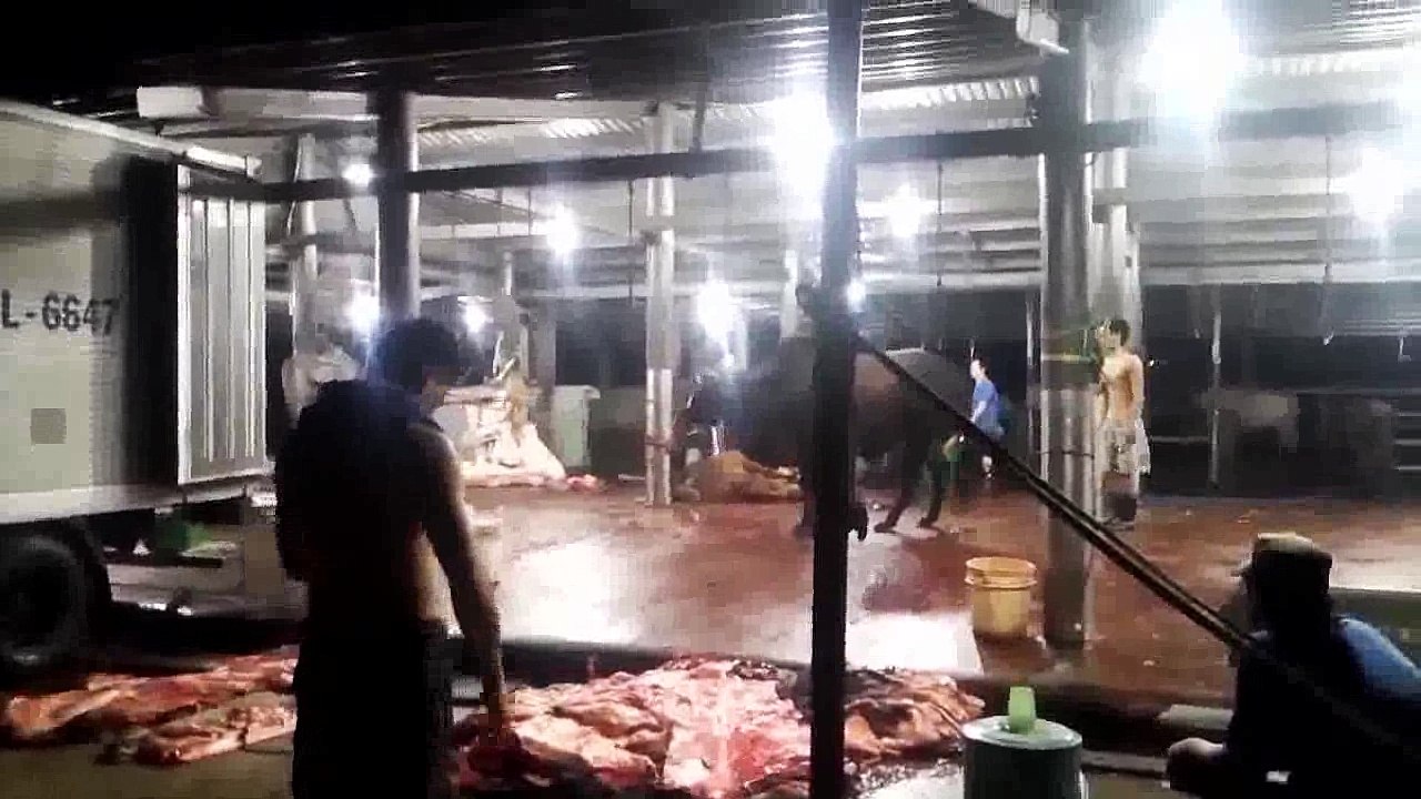 MIẾNG ĂN MÁU ĐỔ THỊT RƠI,   GIẾT BAO SINH  MẠNG  NGẬP TRỜI OÁN THAN NAM MÔ  A DI ĐÀ PHẬT