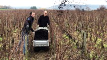 Biodynamie : comment un vigneron de Côte-d'Or nourrit son sol