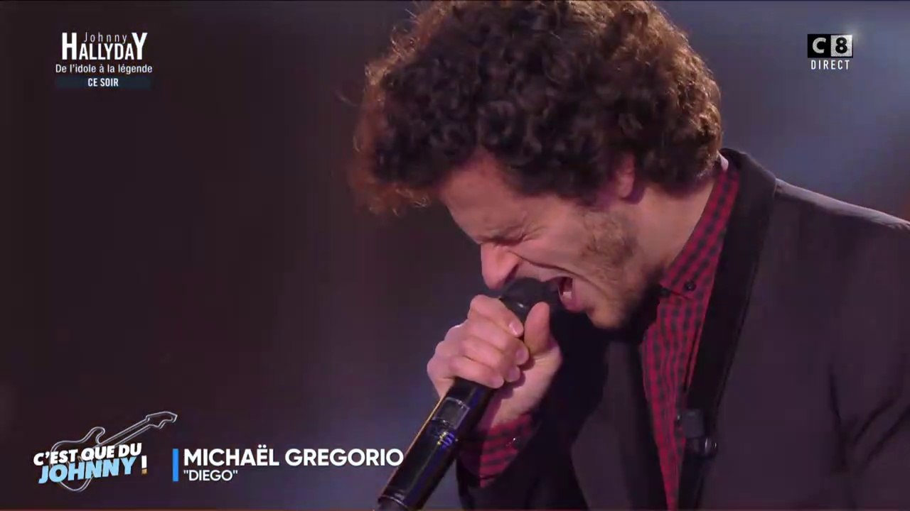 TPMP : L'hommage de Michaël Gregorio à Johnny Hallyday